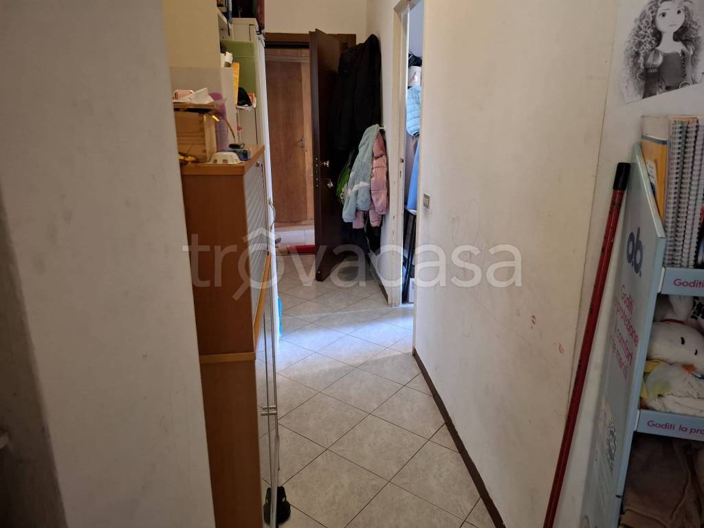 immagine annuncio 6 di 14