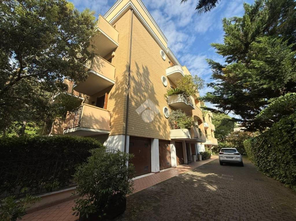 immagine annuncio 1 di 8