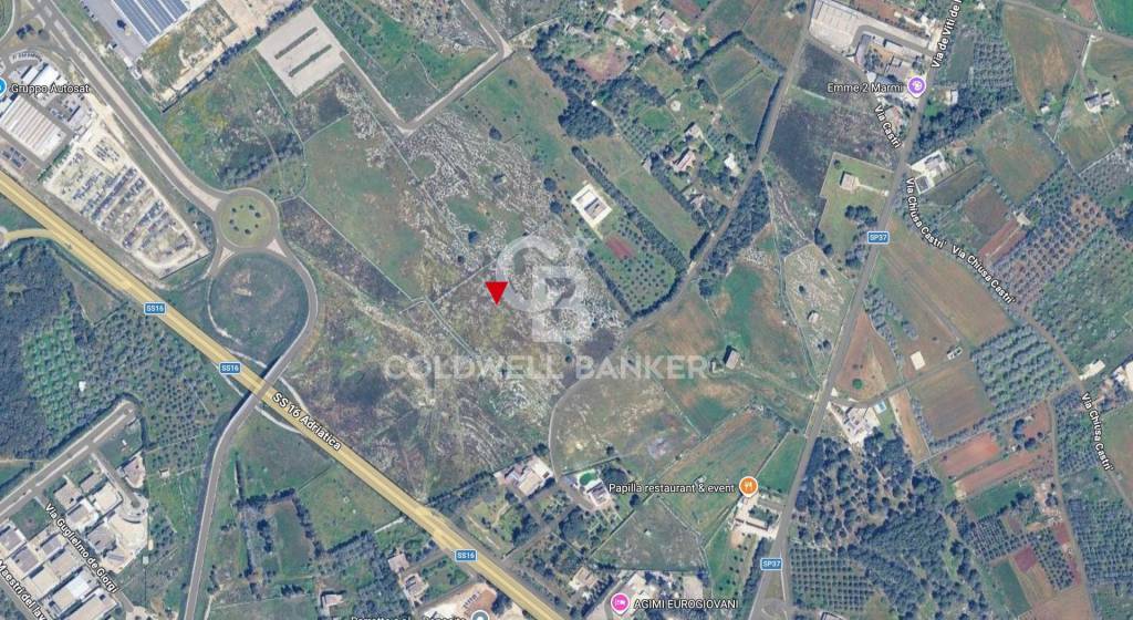 immagine annuncio 1 di 4