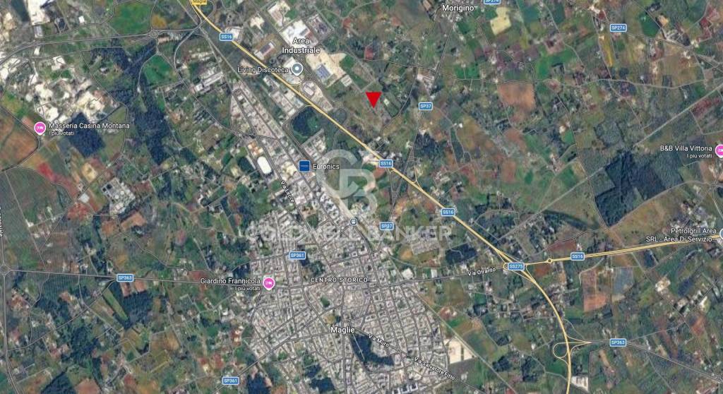 immagine annuncio 2 di 4