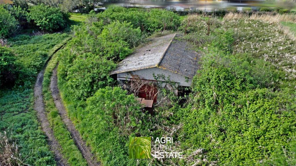 immagine annuncio 2 di 13