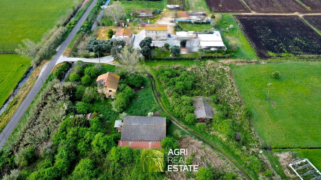 immagine annuncio 5 di 13