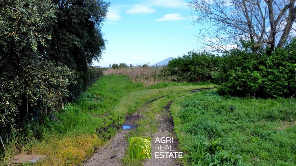 immagine annuncio 7 di 13