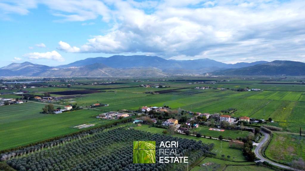 immagine annuncio 8 di 13