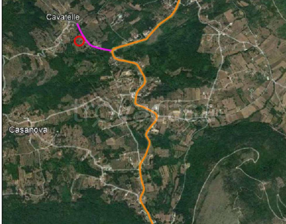 immagine annuncio 10 di 11