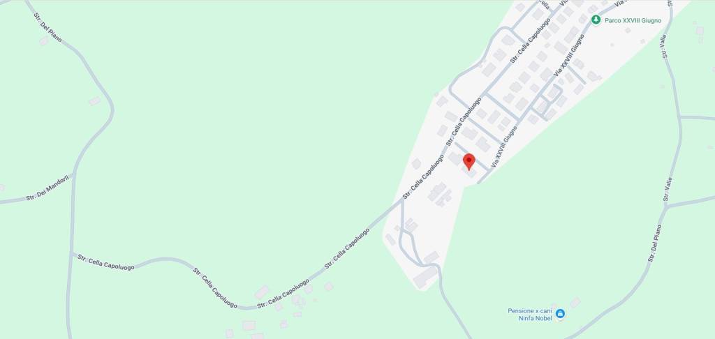 immagine annuncio 12 di 13