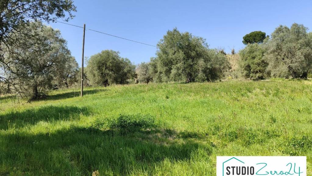 immagine annuncio 3 di 8