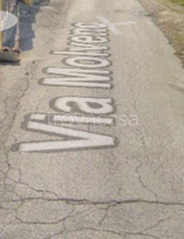 immagine annuncio 3 di 11