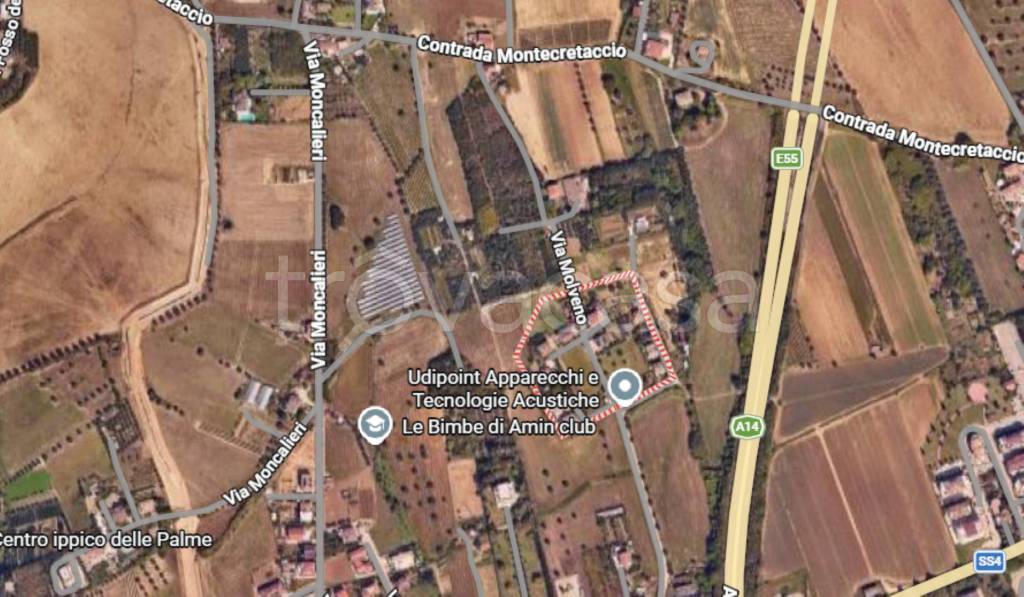 immagine annuncio 6 di 11