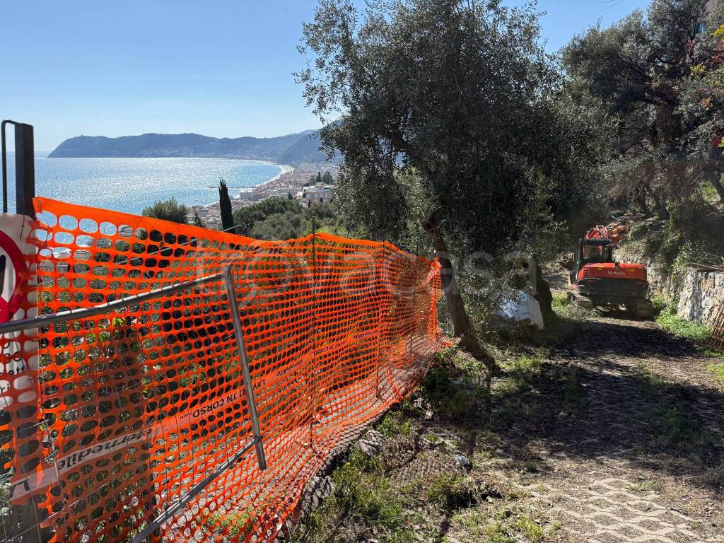 immagine annuncio 11 di 13