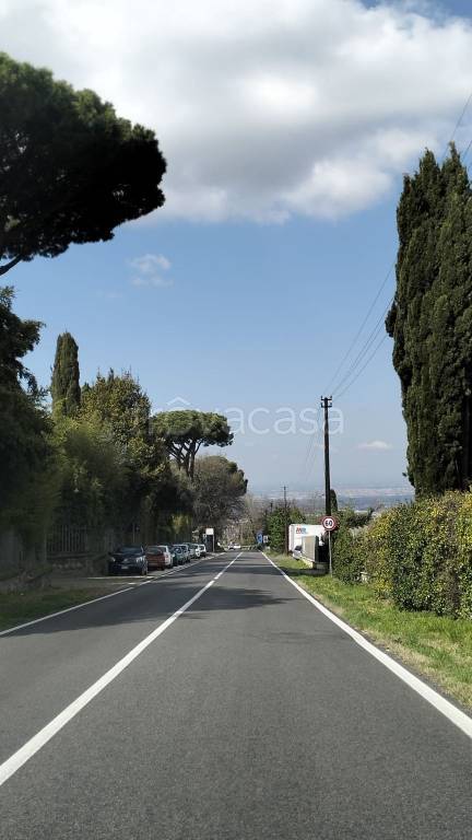 immagine annuncio 5 di 6