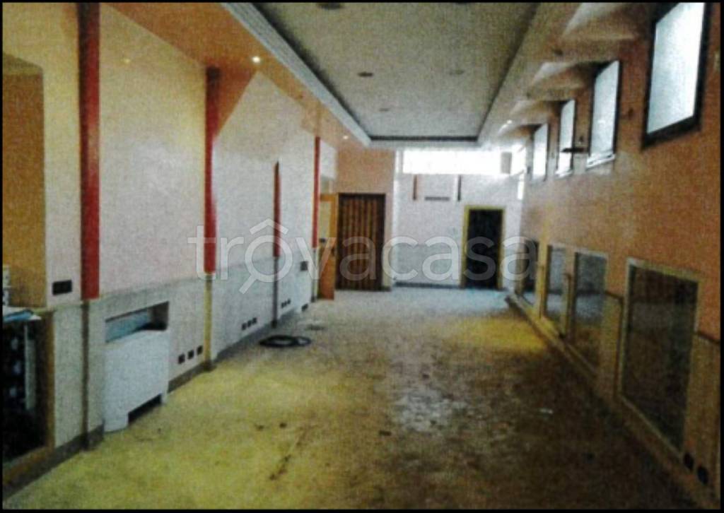 immagine annuncio 6 di 13