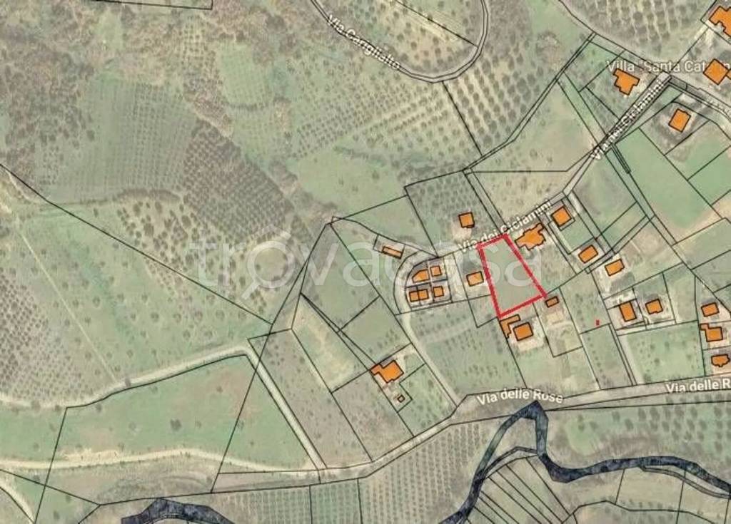 immagine annuncio 1 di 2