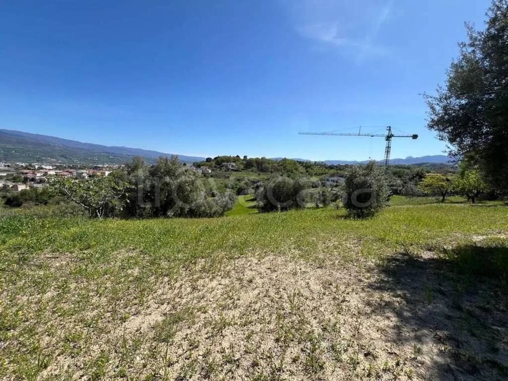 immagine annuncio 1 di 6