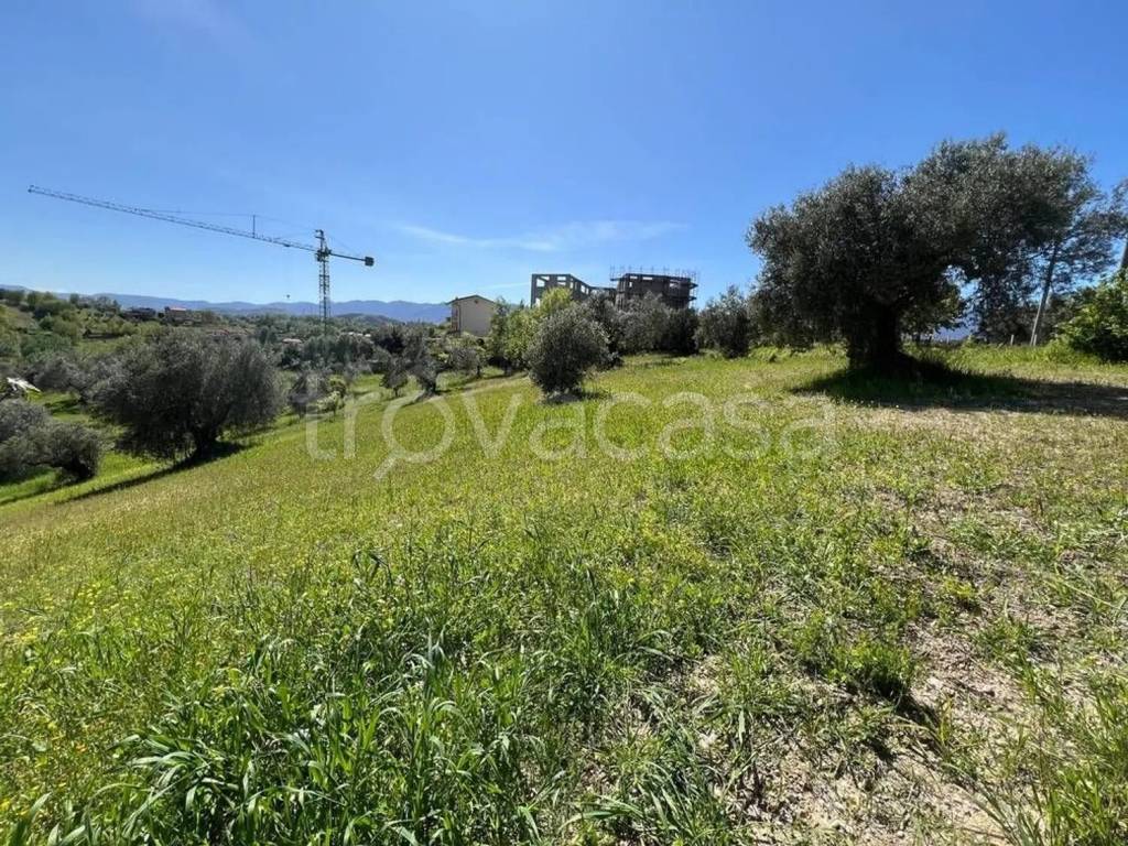 immagine annuncio 3 di 6