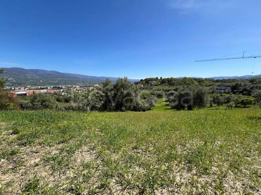 immagine annuncio 5 di 6