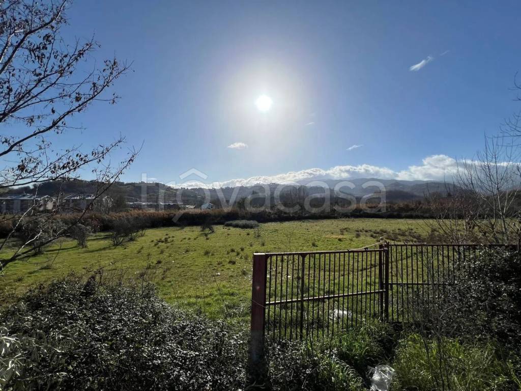 immagine annuncio 1 di 8