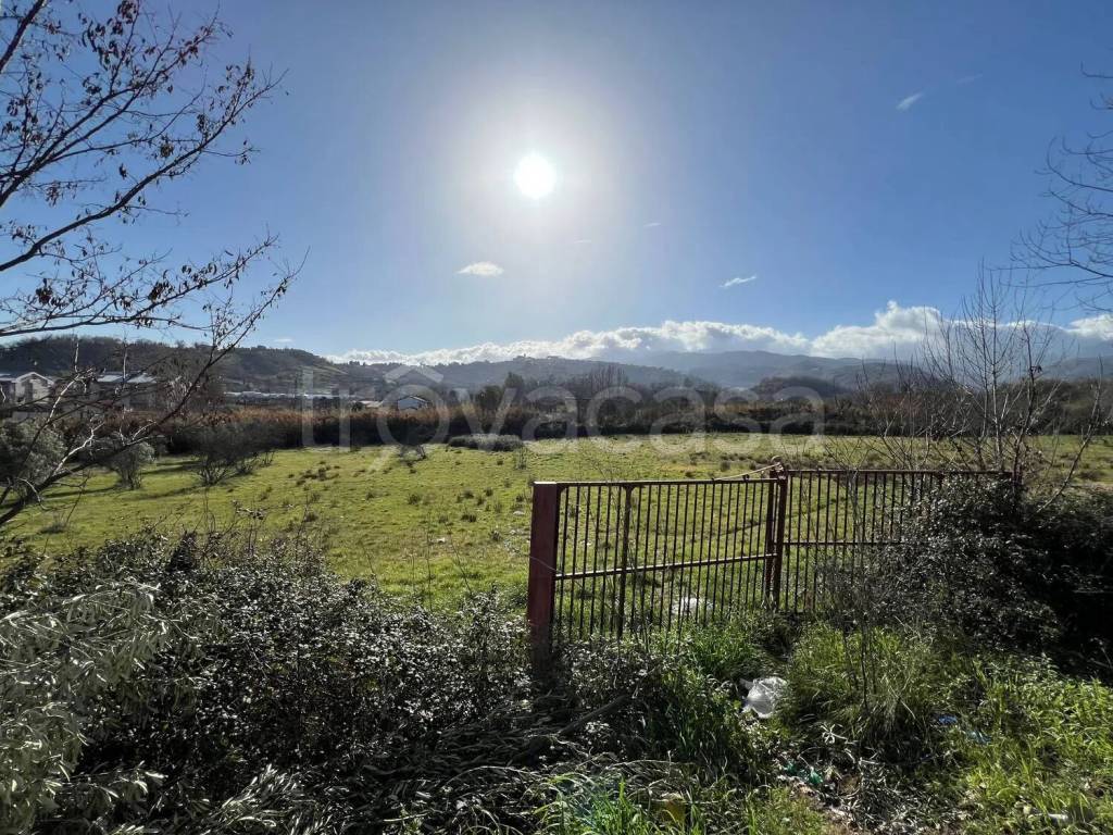 immagine annuncio 2 di 8