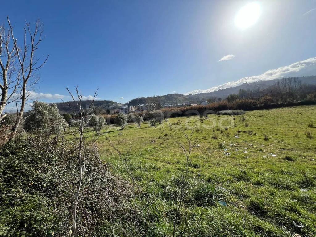 immagine annuncio 3 di 8