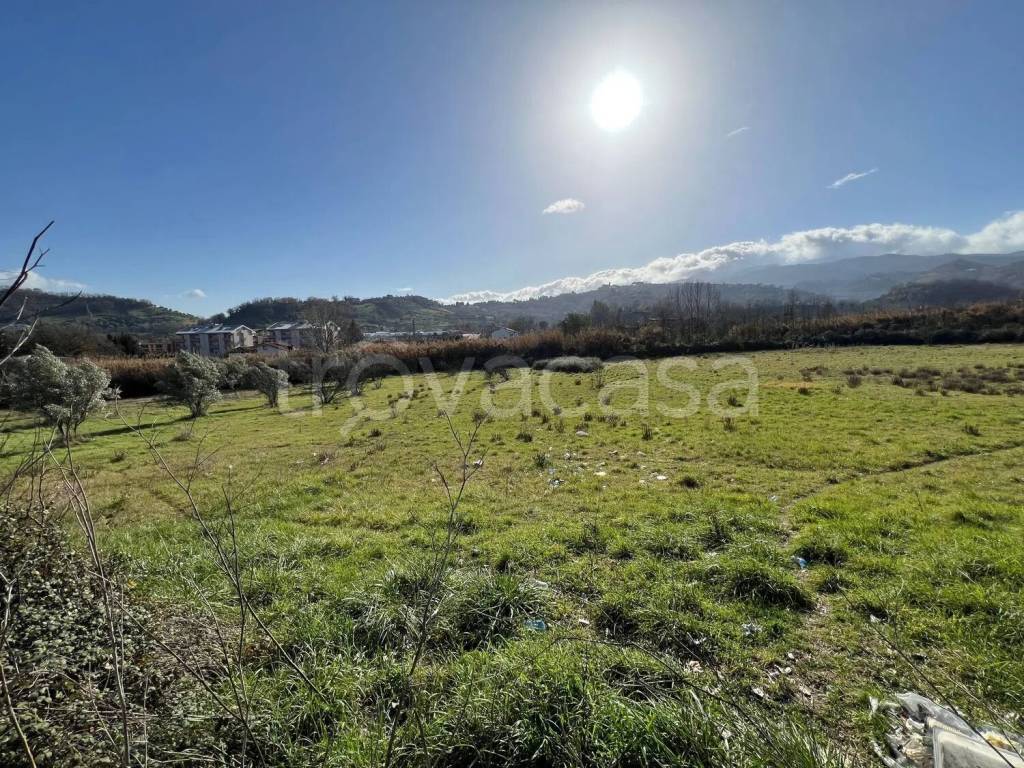 immagine annuncio 4 di 8