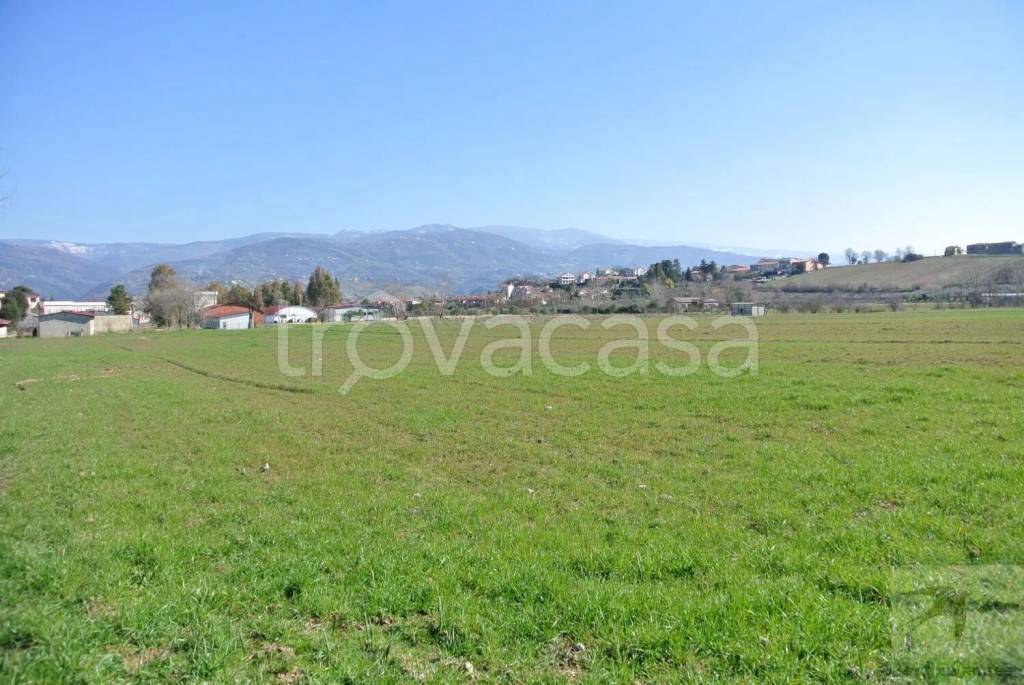 immagine annuncio 5 di 6