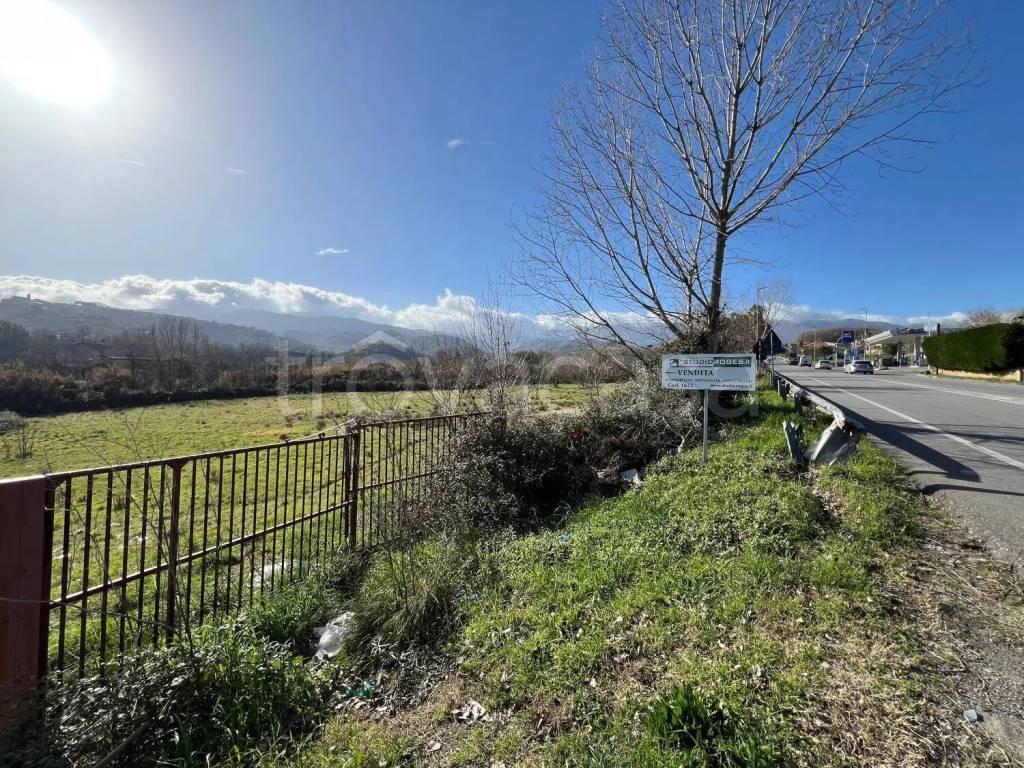 immagine annuncio 6 di 8