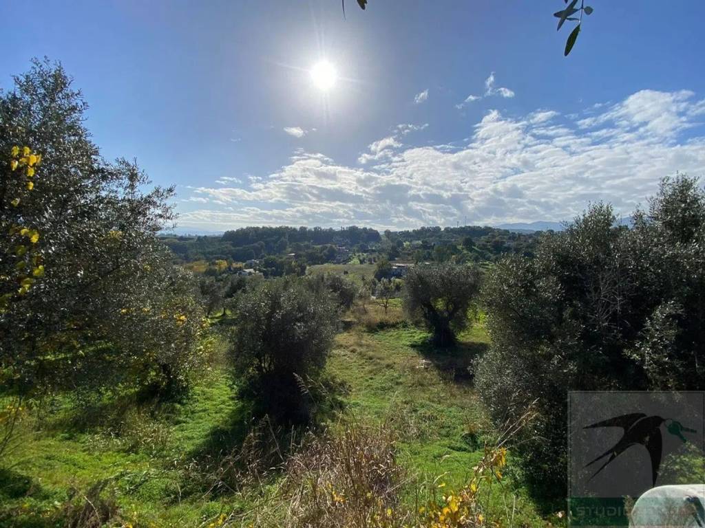 immagine annuncio 3 di 11