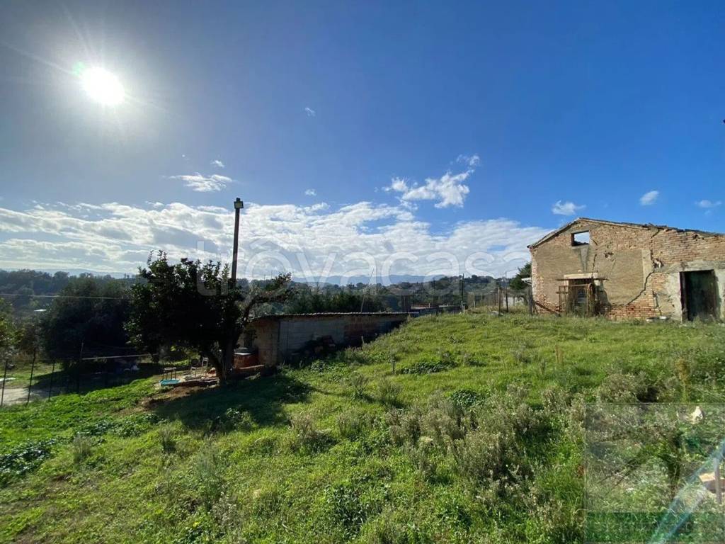 immagine annuncio 4 di 11