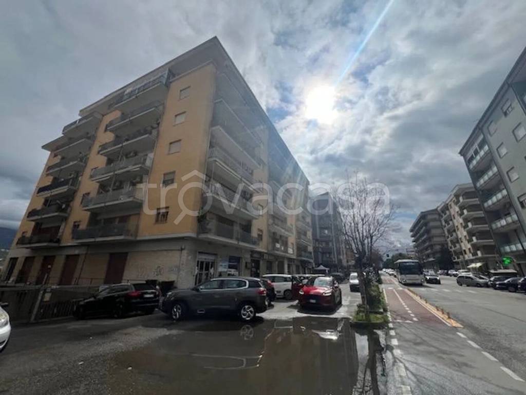 immagine annuncio 1 di 6