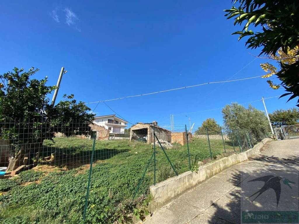 immagine annuncio 6 di 11