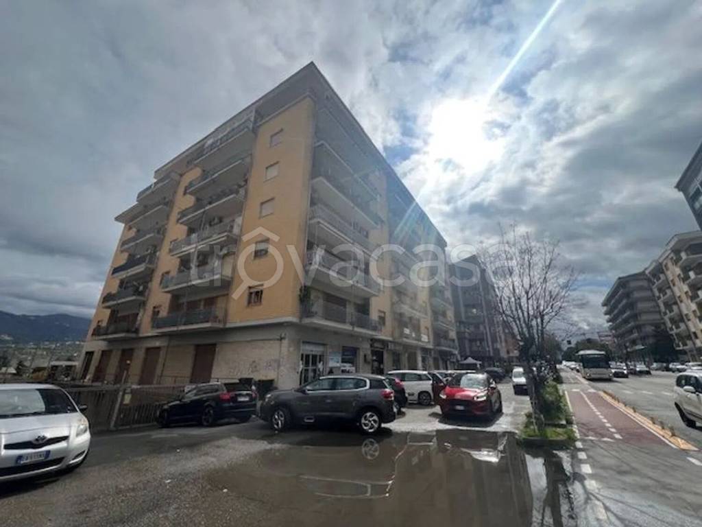 immagine annuncio 2 di 6