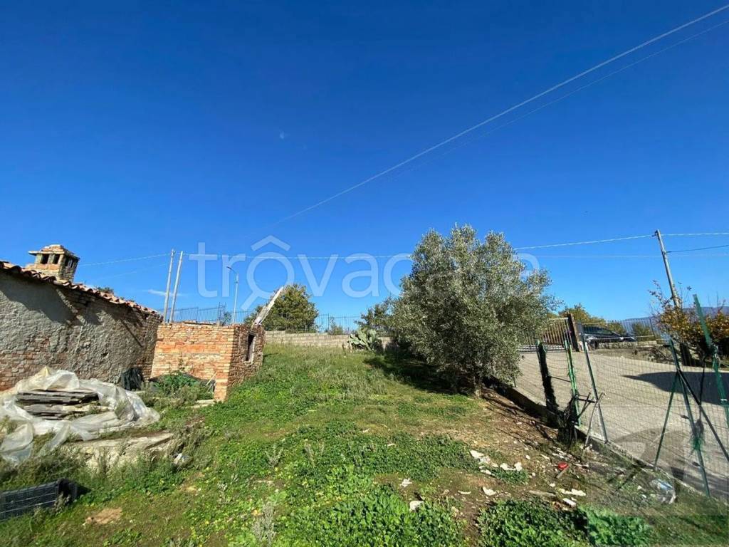 immagine annuncio 9 di 11