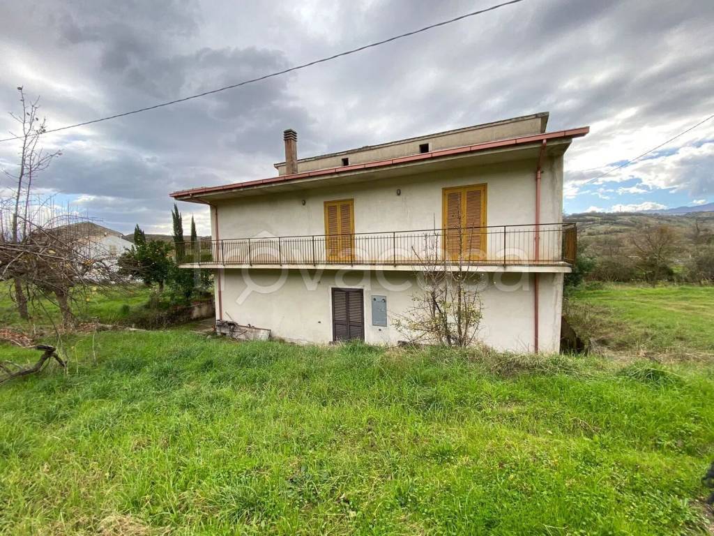 immagine annuncio 5 di 9