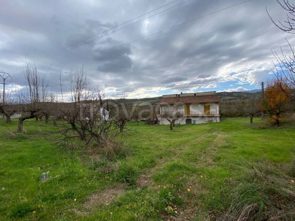 immagine annuncio 7 di 9