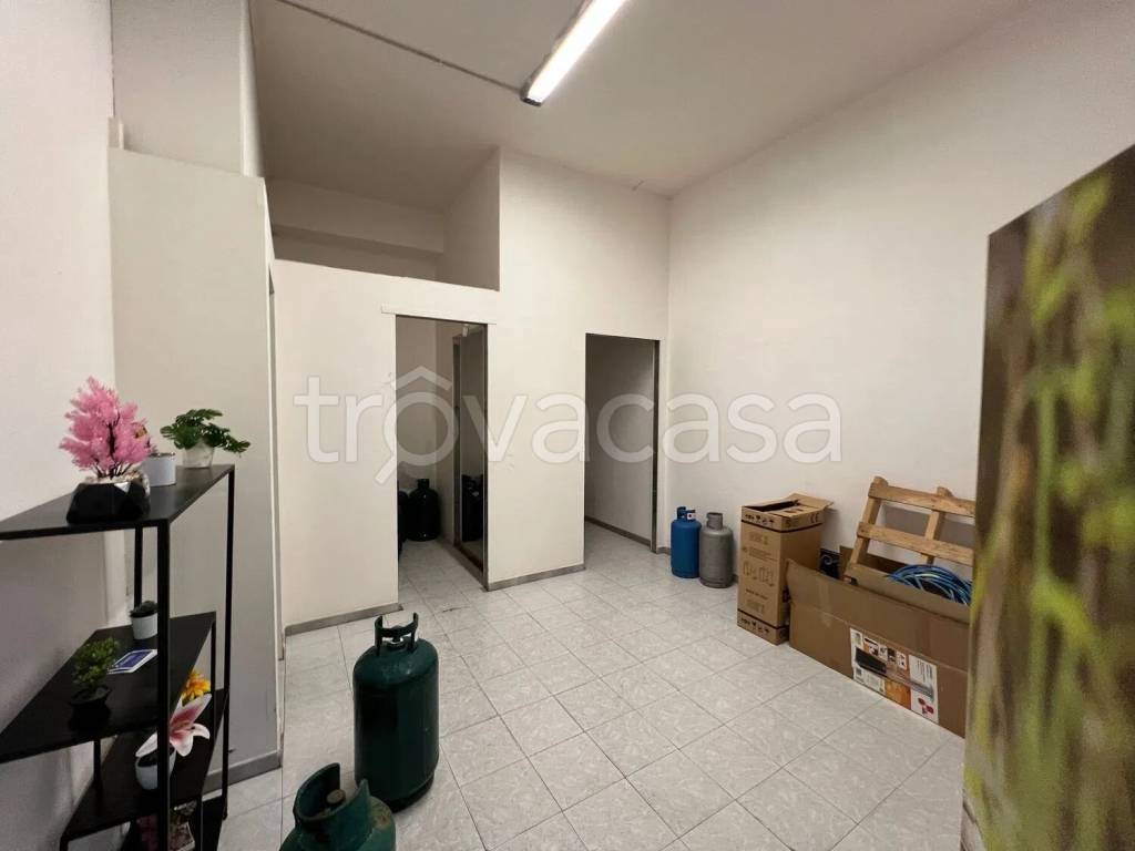 immagine annuncio 11 di 14