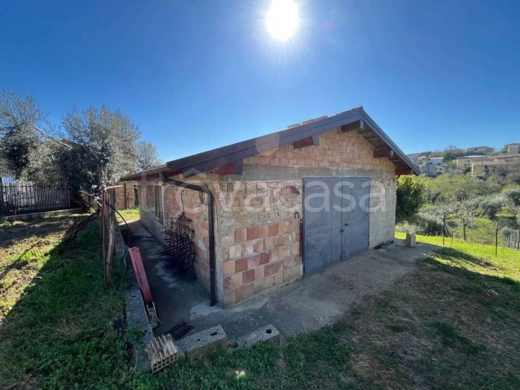 immagine annuncio 6 di 15