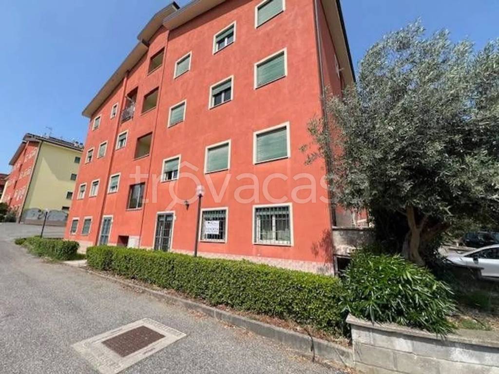 immagine annuncio 12 di 15