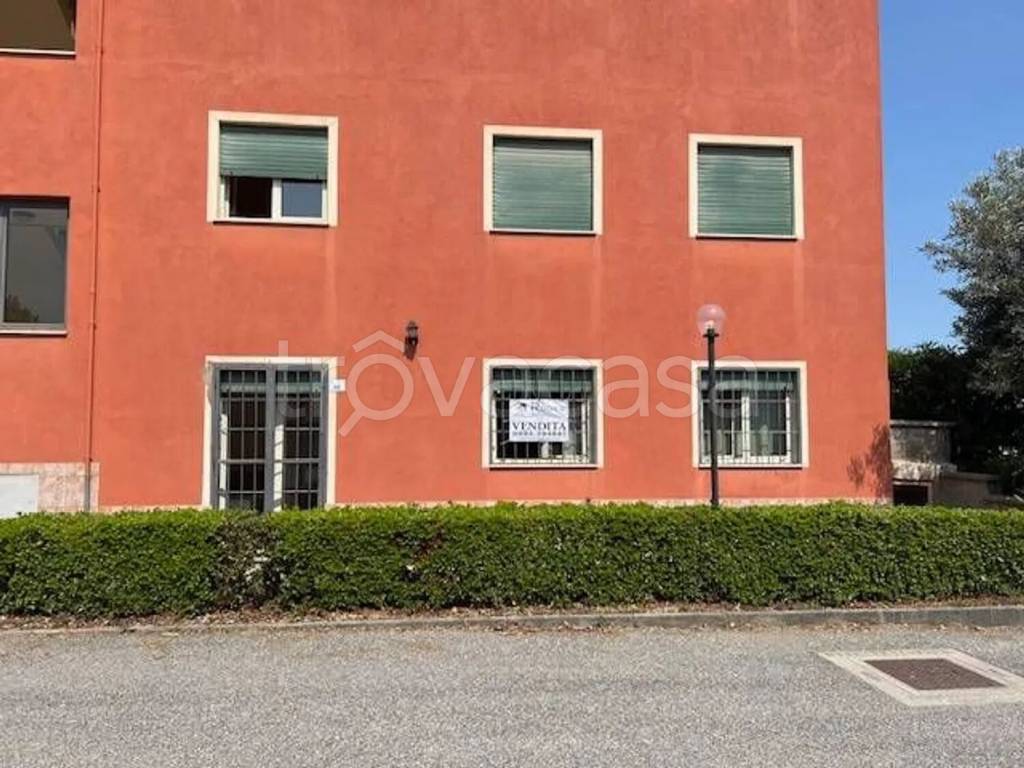 immagine annuncio 13 di 15