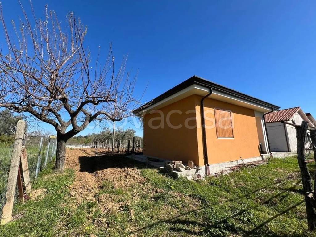 immagine annuncio 13 di 15