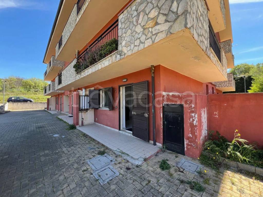 immagine annuncio 10 di 15