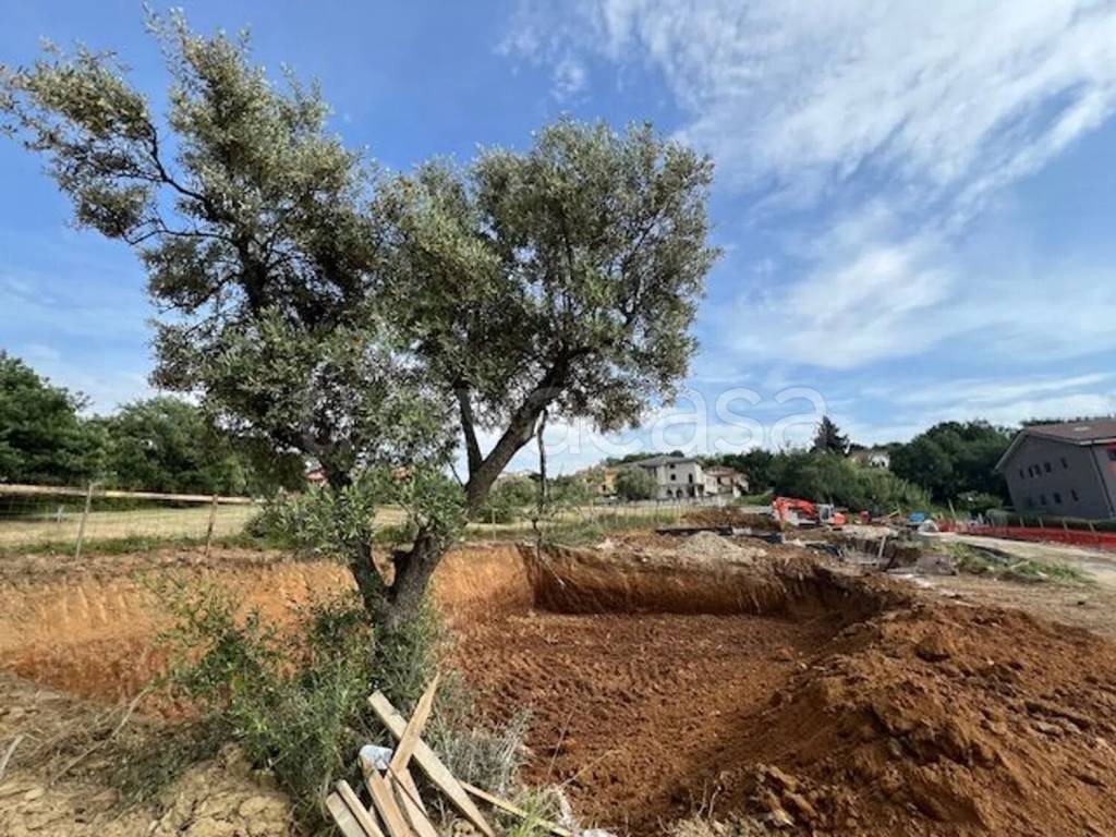 immagine annuncio 7 di 8