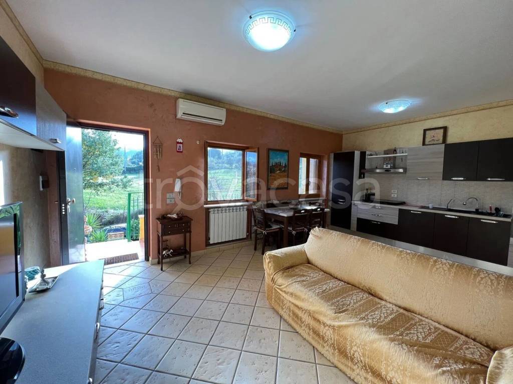 immagine annuncio 7 di 15