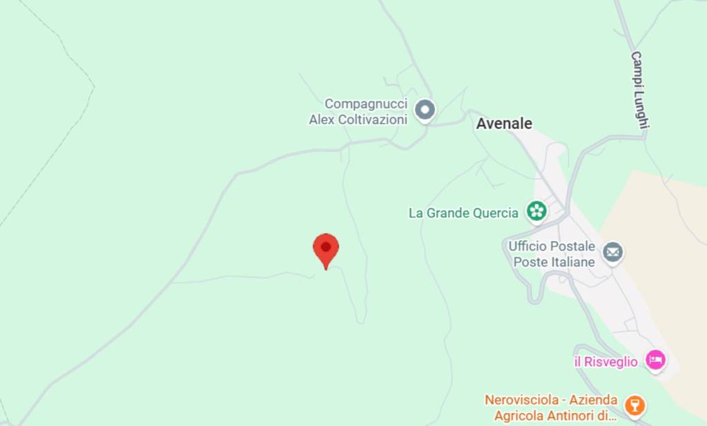 immagine annuncio 2 di 10