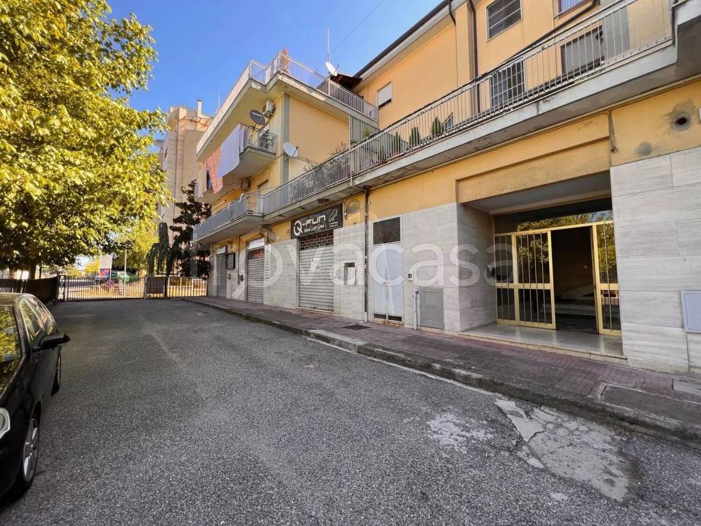 immagine annuncio 3 di 6