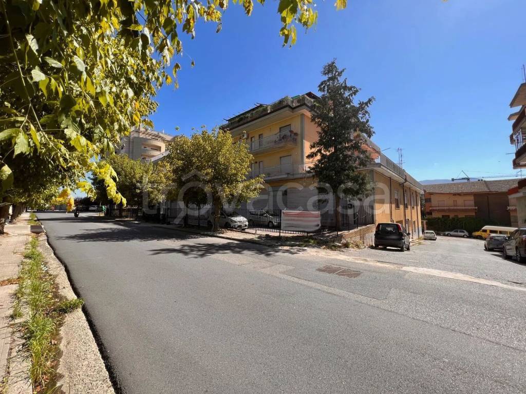 immagine annuncio 4 di 6