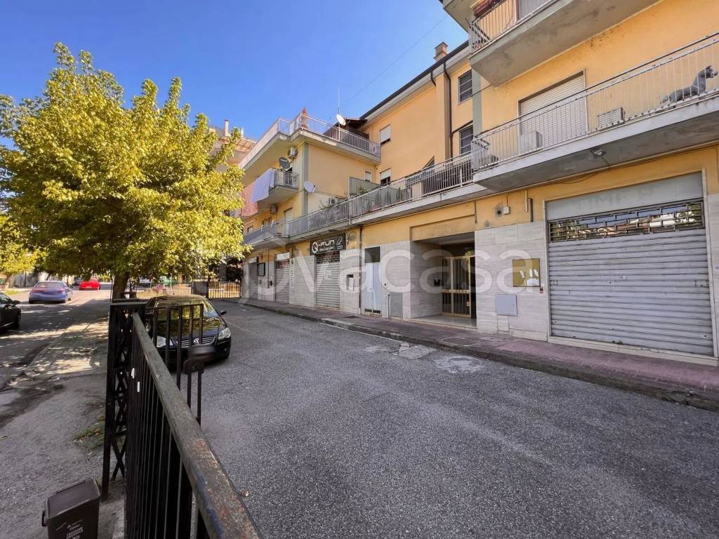 immagine annuncio 5 di 6