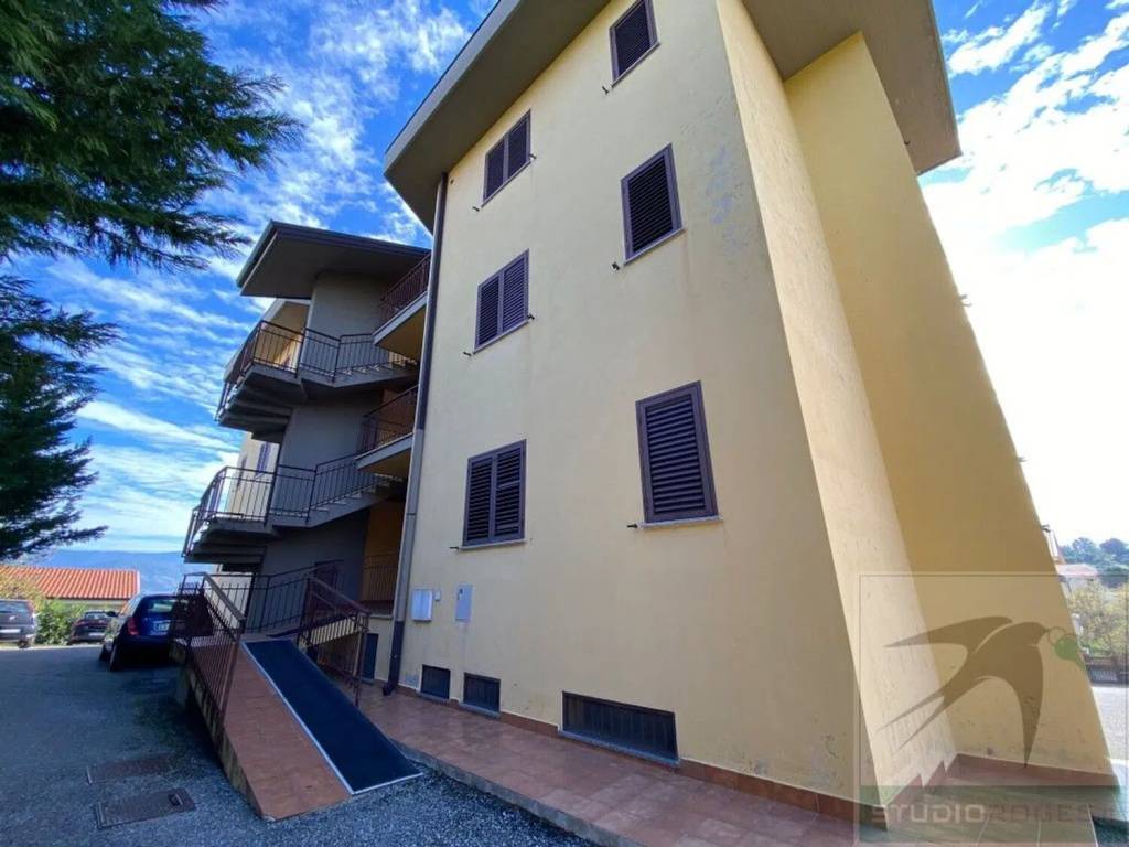 immagine annuncio 11 di 12