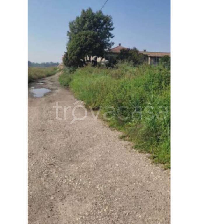 immagine annuncio 2 di 11