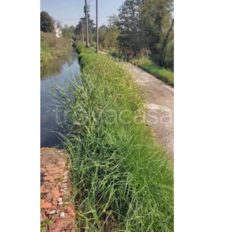 immagine annuncio 6 di 11