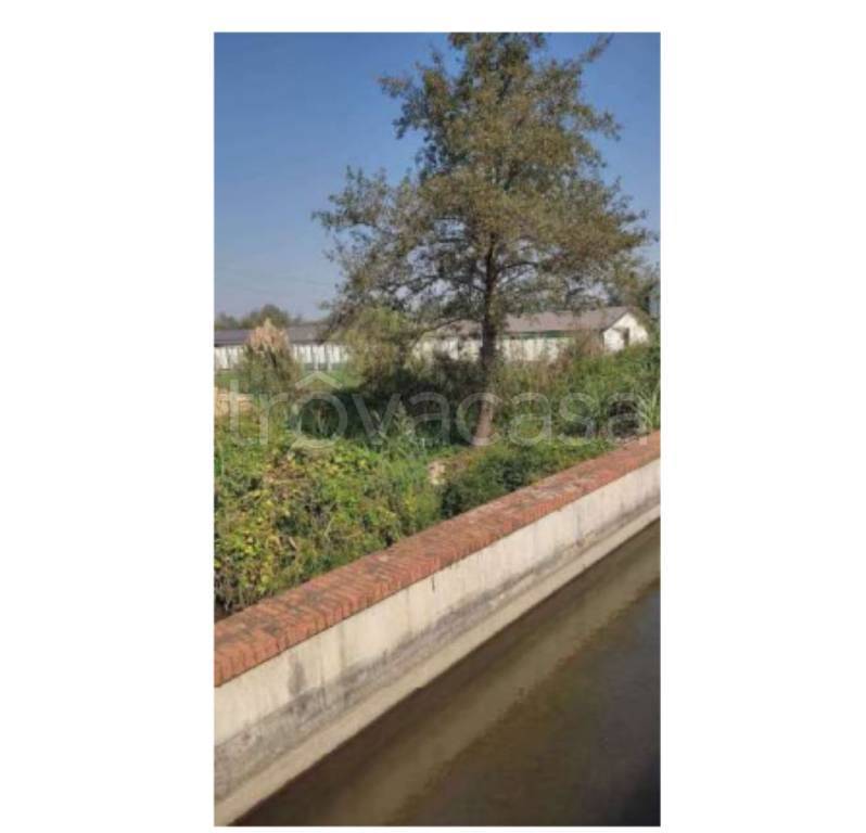 immagine annuncio 7 di 11